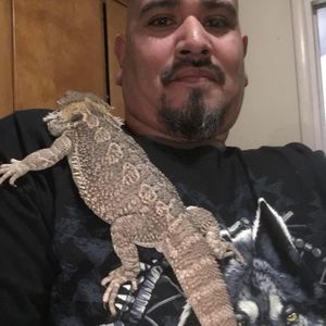 Meet your Posher, Cesar